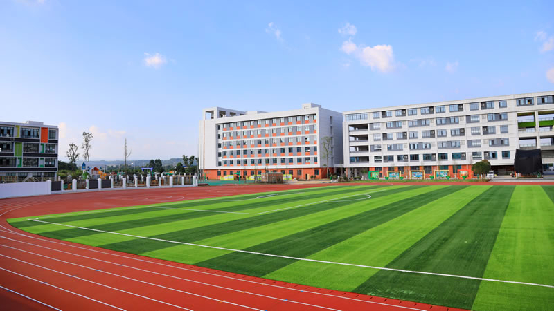 安州東辰國際學校圖片展示