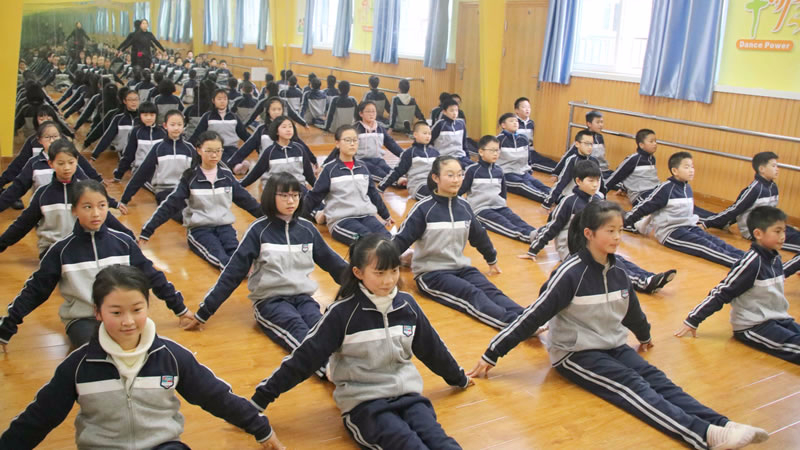眉山東辰國際學校圖片展示